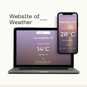 weather website